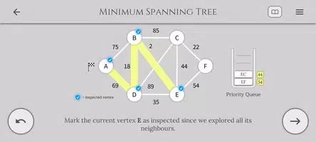 Algorithms and Data Structures imagem de tela 2