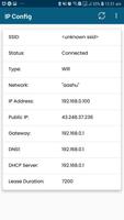 IP Config capture d'écran 1