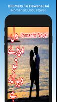 Dil Mery Tu Dewana Hai - Novel poster