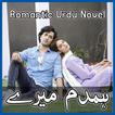 Humdam Mere - Romantic Novel icon