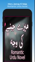 پوستر Mery Jeenay Ki Waja