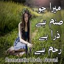 Mera Jo Sanam Ha Zra BeRham Ha APK