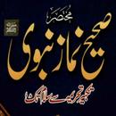 Namaz e Nabwi - Namaz ka tarik APK