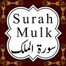 Surah Mulk : Top Islamic App APK