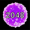 2048 Marmalade