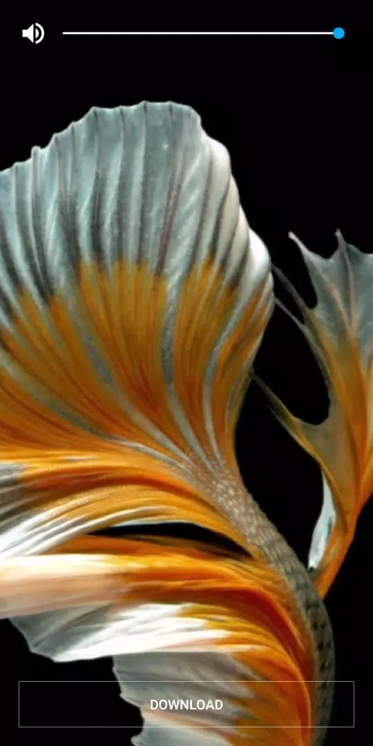 iPhone Live Wallpaper - Pro, iOS 14, 4k wallpapers APK for Android Download iPhone Live Wallpaper - Pro, iOS 14, 4k wallpapers APK for Android Download