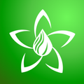 Santanaherbals