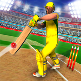 IPL League 2020 Game - New Cricket League Games icon