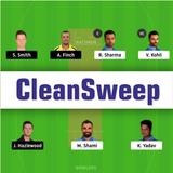 CleanSweep:MyDreamTeam11Circle