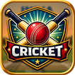 IPL Cricket icon