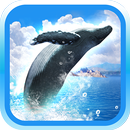 REAL WHALES Find the cetacean!-APK