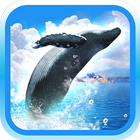 REAL WHALES Find the cetacean! icône