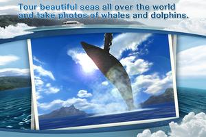 REAL WHALES Find the cetacean! الملصق