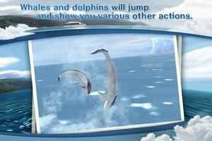 REAL WHALES Find the cetacean! تصوير الشاشة 1