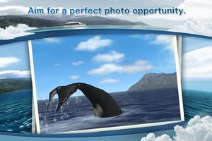 REAL WHALES Find the cetacean! 스크린샷 2