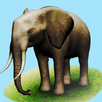 REAL ANIMALS HD (Full) APK