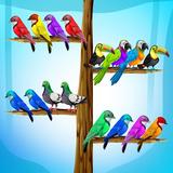 颜色鸟排序 - 益智游戏