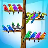 Color Bird Sort - Puzzle Games أيقونة