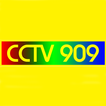 CCTV 909