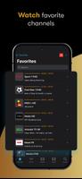 IPTV Streamer screenshot 3