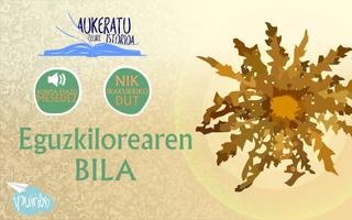 Eguzkilorearen bila পোস্টার