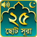 ২৫ টি ছোট সূরা 25 Small Surah Bangla APK
