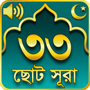 ৩৩ টি ছোট সূরা 33 Small Surah Bangla APK