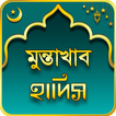 মুন্তাখাব হাদিস Muntakhab Hadis