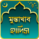 মুন্তাখাব হাদিস Muntakhab Hadis APK