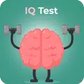 Raven IQ Test