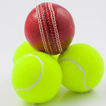 Cricket Challenge! 24by7exams