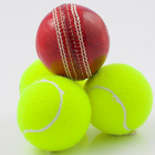 Cricket Challenge! 24by7exams أيقونة