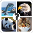 Quiz sugli animali