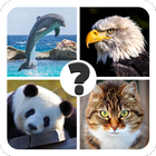 Animals quiz - guess animal 圖標