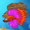 Puzzle Ikan