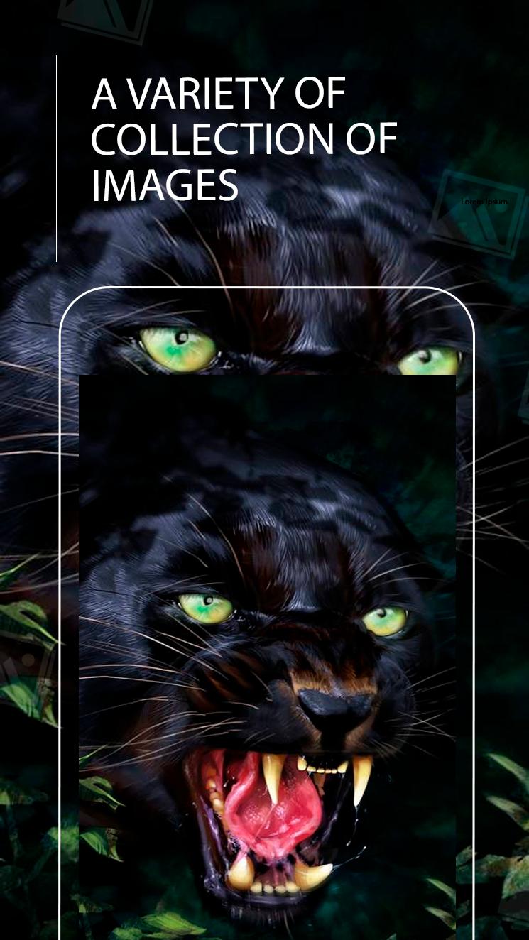 Tận hưởng sức mạnh của Black Panther trên điện thoại của bạn với hình nền đầy sắc độc đáo. Màn hình nhà của bạn sẽ trở nên bắt mắt hơn với các hình ảnh độc đáo của Black Panther. Đừng bỏ lỡ cơ hội để làm mới màn hình của bạn ngay bây giờ!