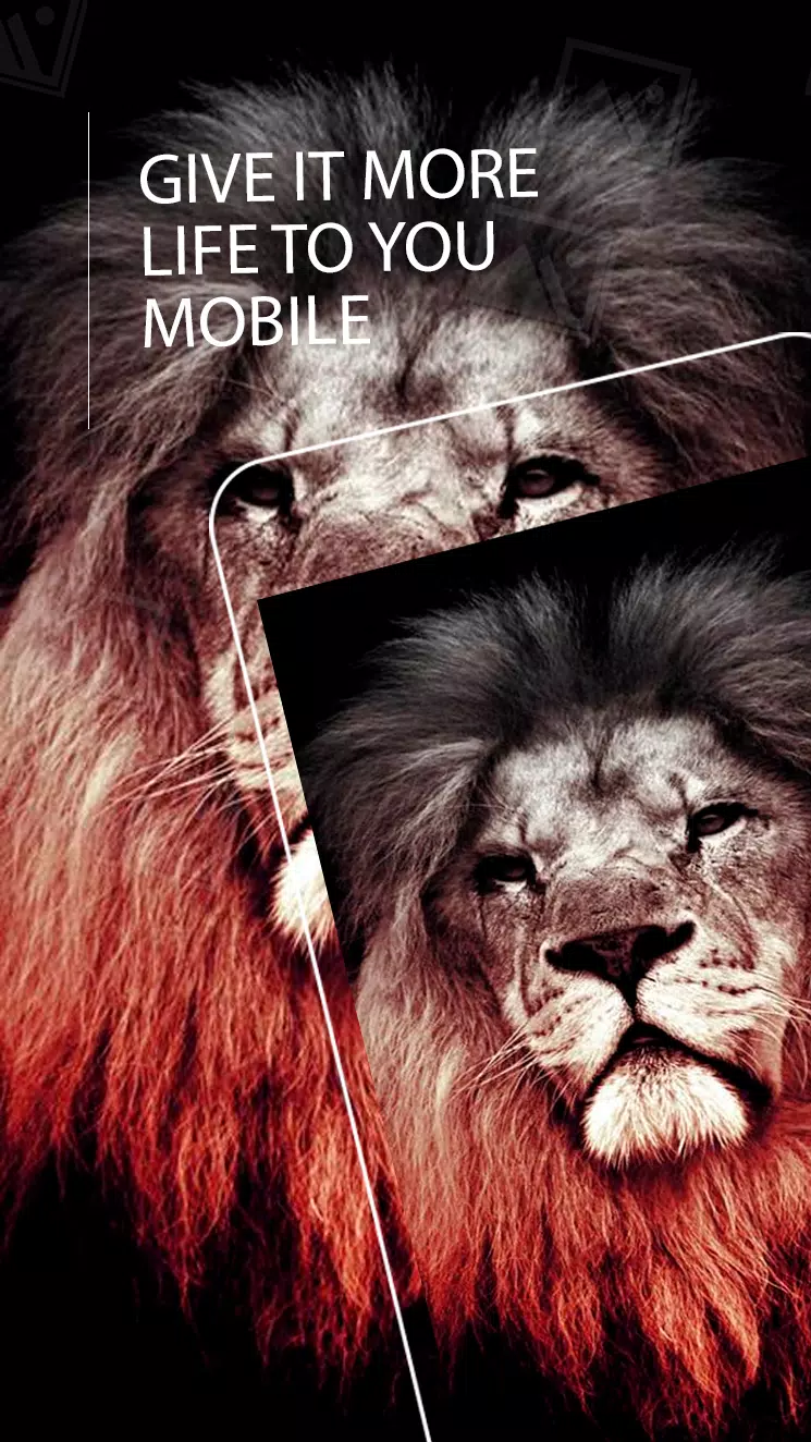 Tải xuống APK Wallpaper Lion HD cho Android Tải xuống APK Wallpaper Lion HD cho Android