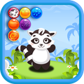 Raccoon Bubble Match