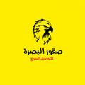 صقور البصرة