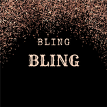 Bling Bling Pro Mod Guide
