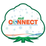 APK Rasi Connect