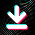 TikTok Video Downloader - Without Watermark