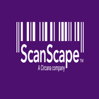 Data Collection icône