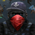 Monkey Swag Wallpapers