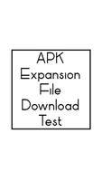APK Expansion File Test imagem de tela 1