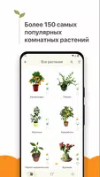 Комнатные растения الملصق