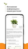 Комнатные растения تصوير الشاشة 2