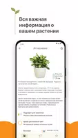 Комнатные растения تصوير الشاشة 2