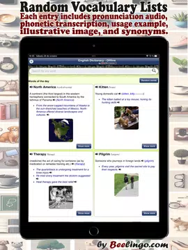 Screenshot 18 for English Dictionary - Offline