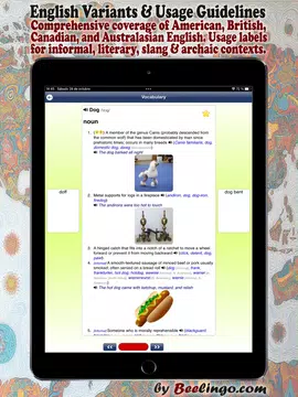 Screenshot 20 for English Dictionary - Offline